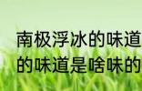 南极浮冰的味道是什么味的 南极浮冰的味道是啥味的