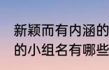 新颖而有内涵的小组名 新颖而有内涵的小组名有哪些