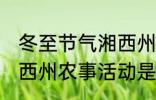 冬至节气湘西州农事活动 冬至节气湘西州农事活动是什么