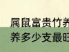 属鼠富贵竹养几支最旺运 属鼠富贵竹养多少支最旺运