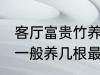 客厅富贵竹养几支最旺运 水养富贵竹一般养几根最旺财