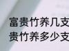 富贵竹养几支最旺运办公室 办公室富贵竹养多少支最旺运