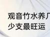 观音竹水养几支最旺运 观音竹水养多少支最旺运