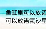 鱼缸里可以放诺氟沙星吗 鱼缸里可不可以放诺氟沙星