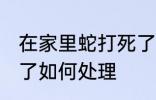 在家里蛇打死了怎么办 在家里蛇打死了如何处理