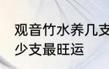 观音竹水养几支最旺运 观音竹水养多少支最旺运