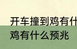 开车撞到鸡有什么兆头 男人开车撞到鸡有什么预兆