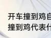 开车撞到鸡自己也摔有什么兆头 开车撞到鸡代表什么意思