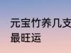 元宝竹养几支最旺运 元宝竹养多少支最旺运