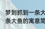 梦到抓到一条大鱼有什么兆头 梦见一条大鱼的寓意简介