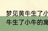 梦见黄牛生了小牛有什么兆头 梦见黄牛生了小牛的寓意是啥