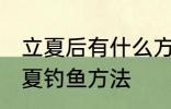 立夏后有什么方法好钓鱼快速上钓 立夏钓鱼方法