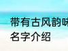 带有古风韵味的名字 带有古风韵味的名字介绍