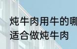 炖牛肉用牛的哪个部分 哪个位置的肉适合做炖牛肉