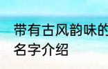 带有古风韵味的名字 带有古风韵味的名字介绍