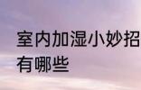 室内加湿小妙招有哪些 室内加湿方法有哪些