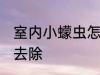 室内小蠓虫怎样去除 室内小蠓虫如何去除