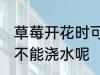 草莓开花时可以浇水吗 草莓开花时能不能浇水呢