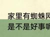 家里有蜘蛛网好事坏事 家里有蜘蛛网是不是好事呢