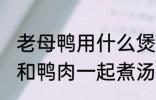 老母鸭用什么煲汤最好 哪些食物可以和鸭肉一起煮汤