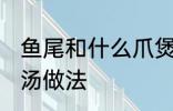 鱼尾和什么爪煲汤好喝有营养 鱼尾煲汤做法