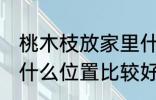 桃木枝放家里什么位置 桃木枝放家里什么位置比较好